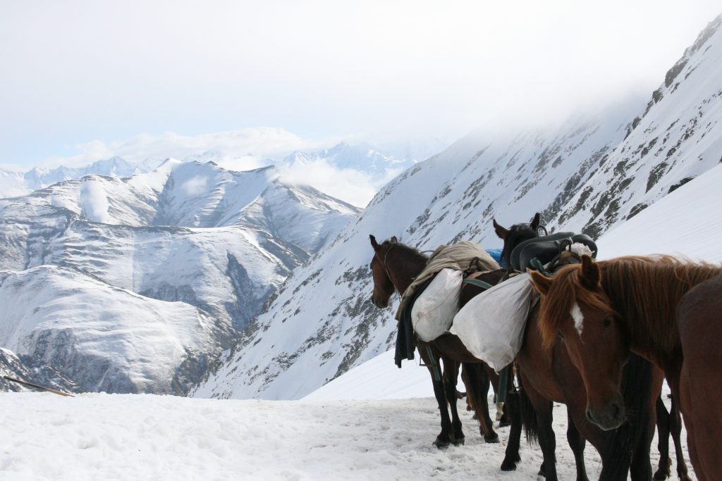 Trektocht met paarden in de sneeuw