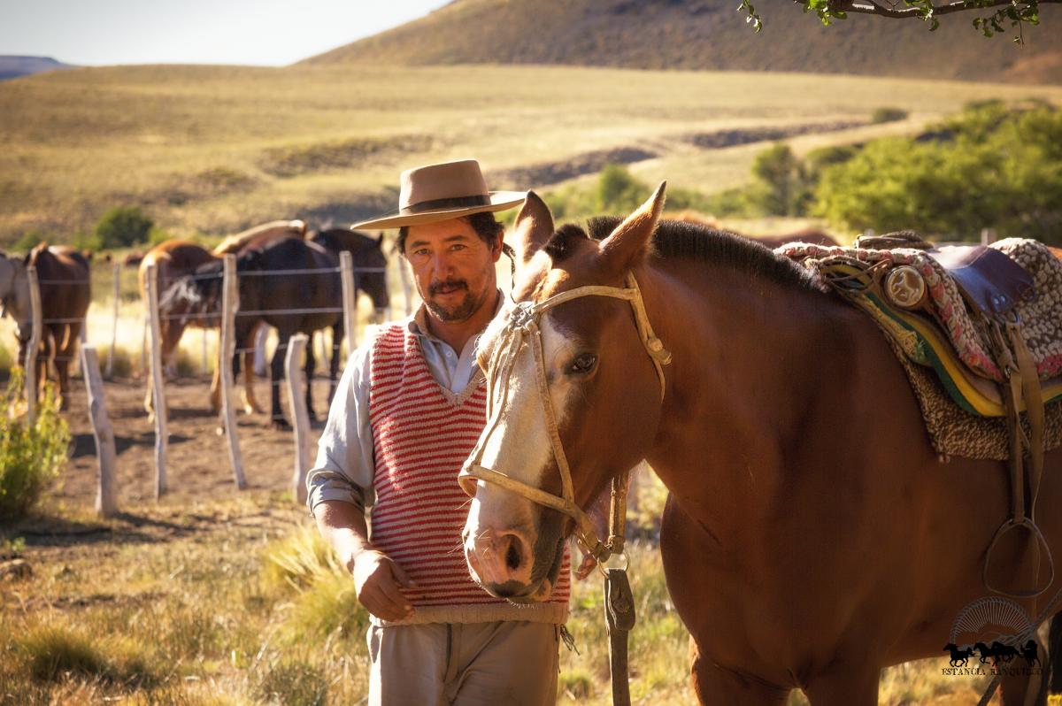 Paard en gaucho in Argentinië