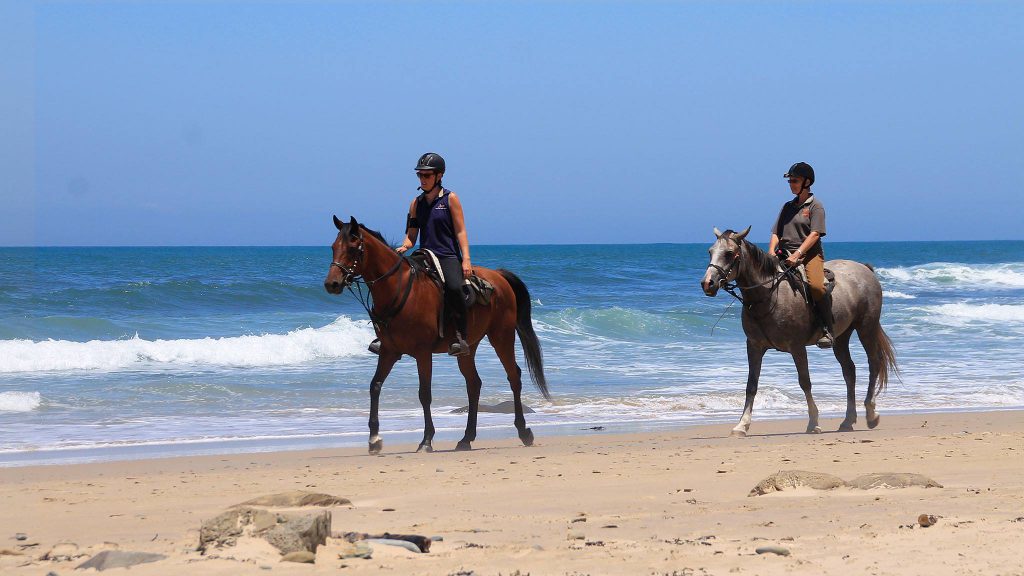 Paardrijden op het strand in Zuid-Afrika