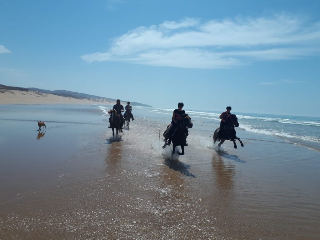 Strandrit op paardrijvakantie in Marokko