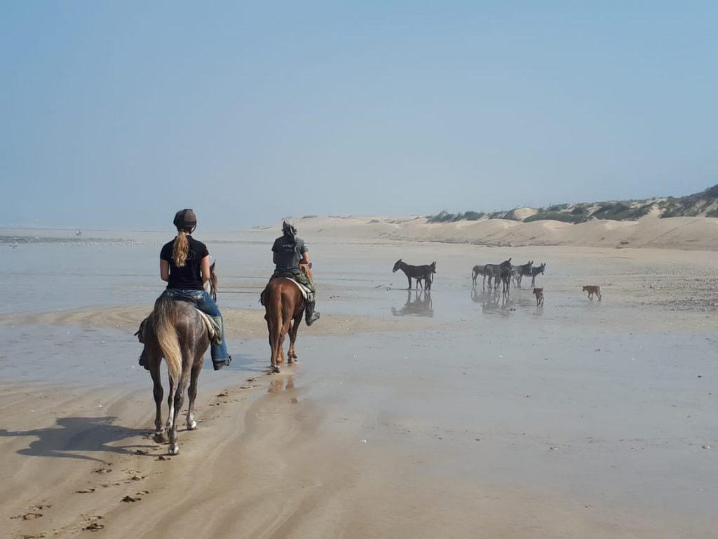 Paardrijden op het strand in Marokko