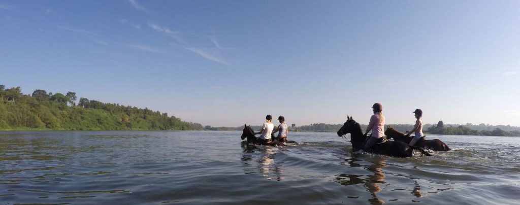 Zwemmen met paarden in de Nijl