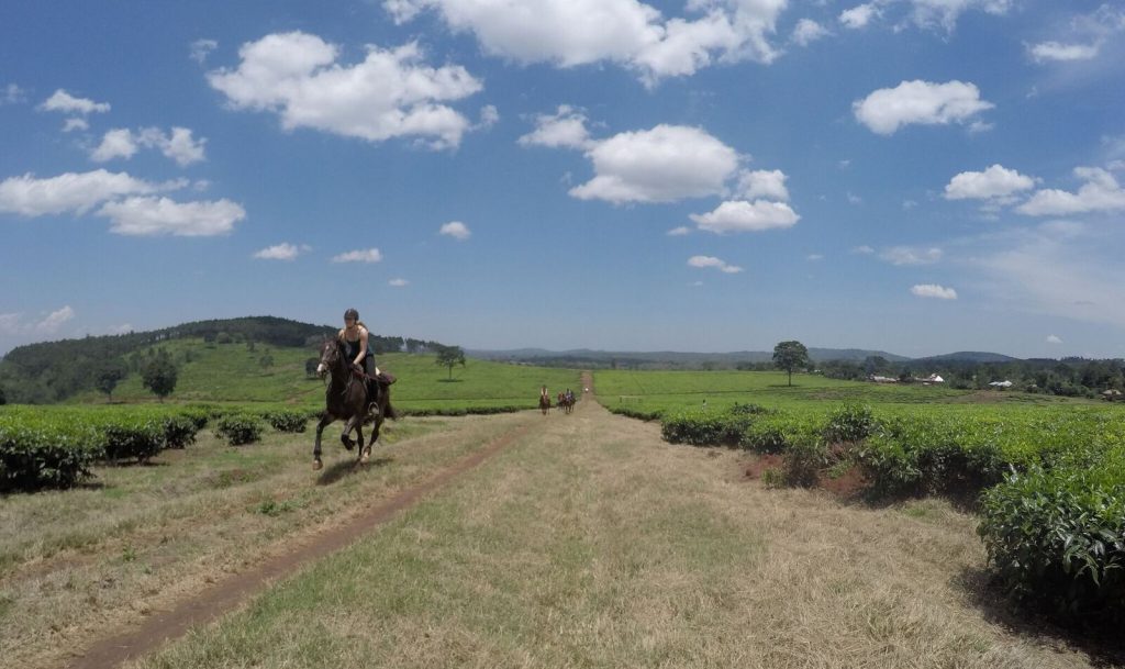 Paardrijden op vakantie in Oeganda