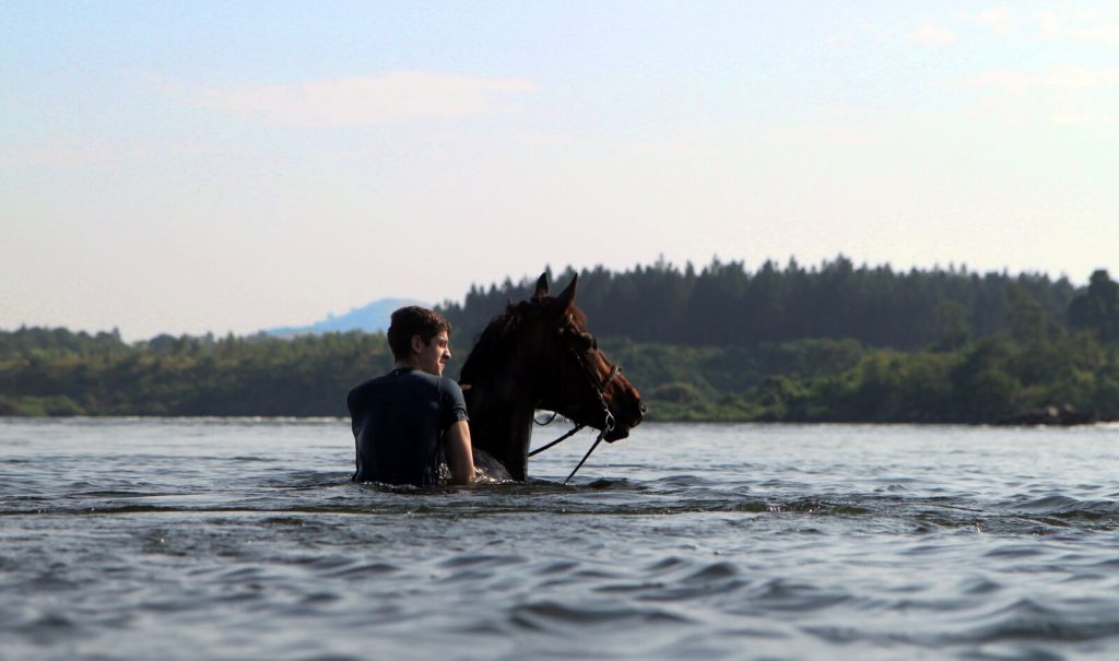Zwemmen met paard in de Nijl
