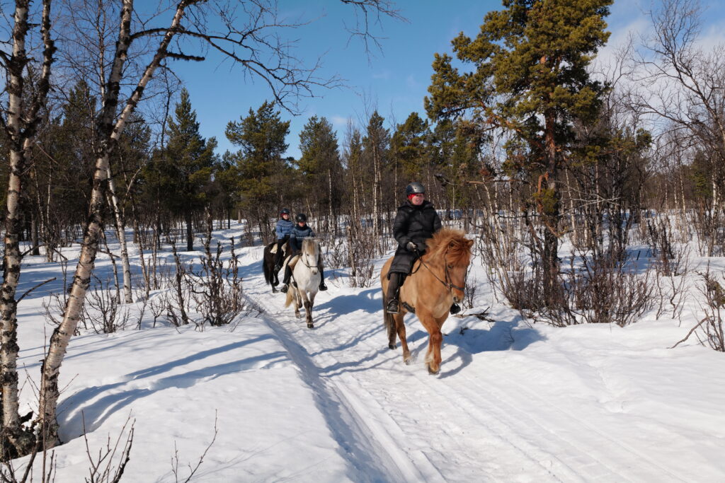 Ruiters en paarden in de sneeuw tijdens een paardrijvakantie in Zweden