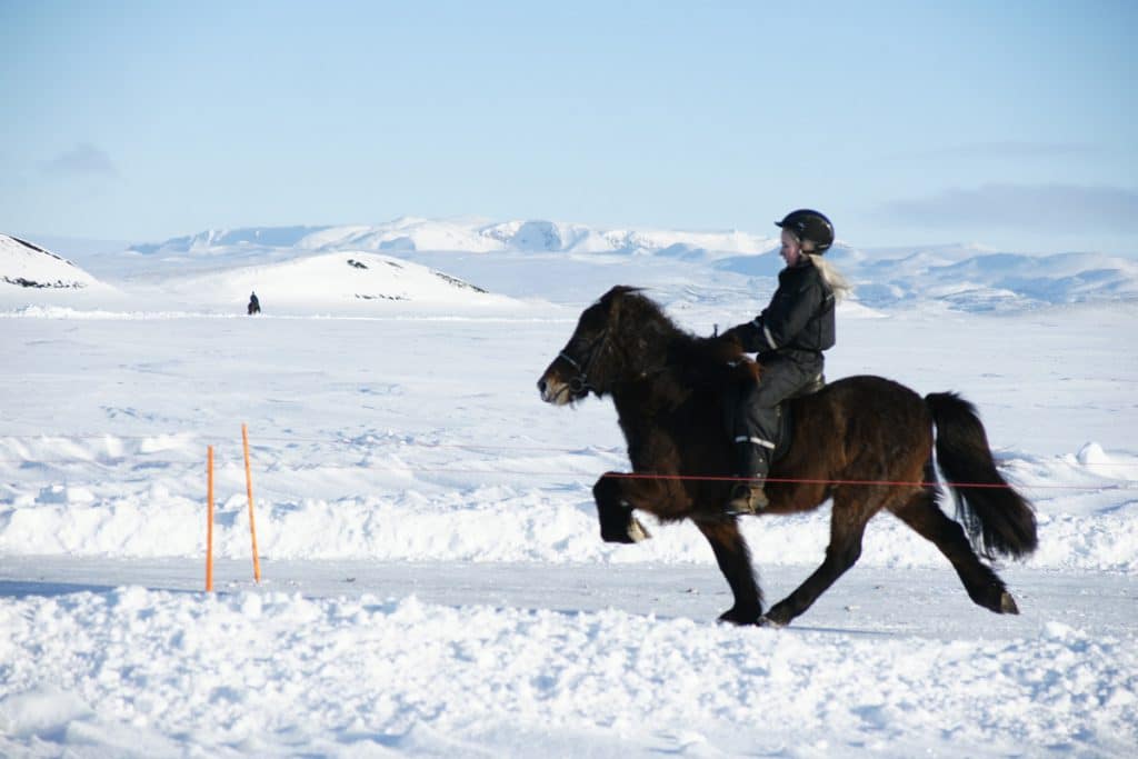 Ruiter aan het tölten in de sneeuw