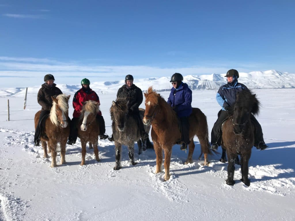Groepsfoto van ruiters met IJslandse paarden op paardrijvakantie