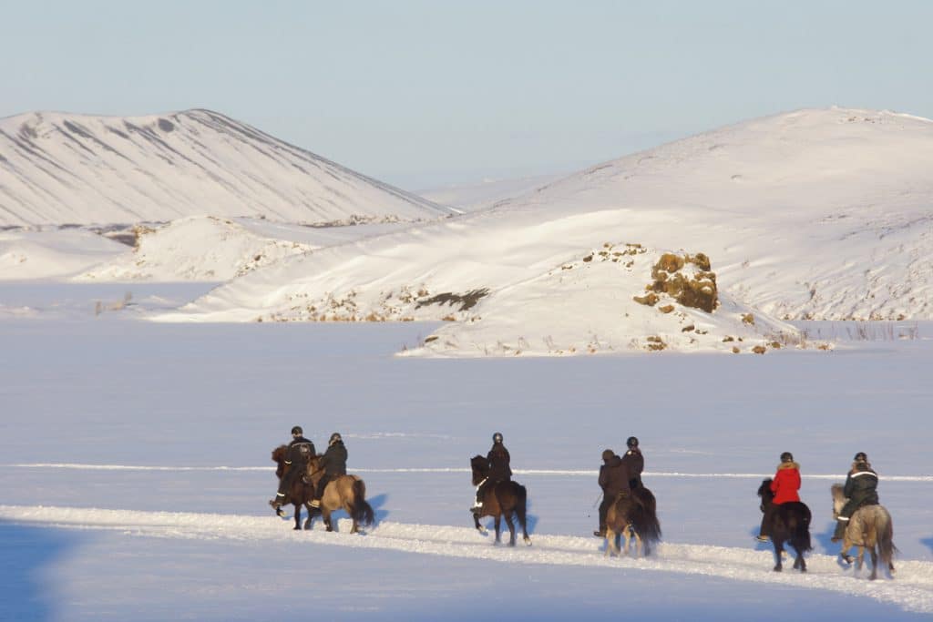 Groep ruiters op IJslandse paarden in de sneeuw