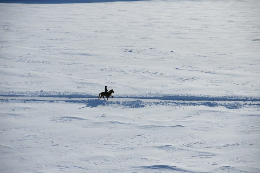 Ruiter met IJslands paard in de sneeuw