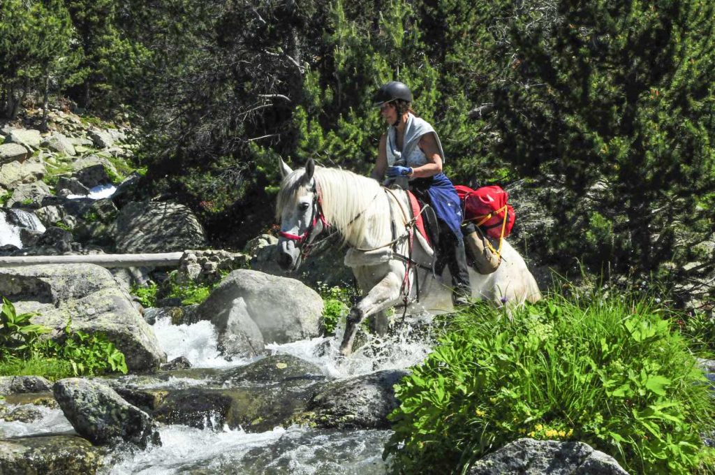 Paard en ruiter in de Pyreneeën