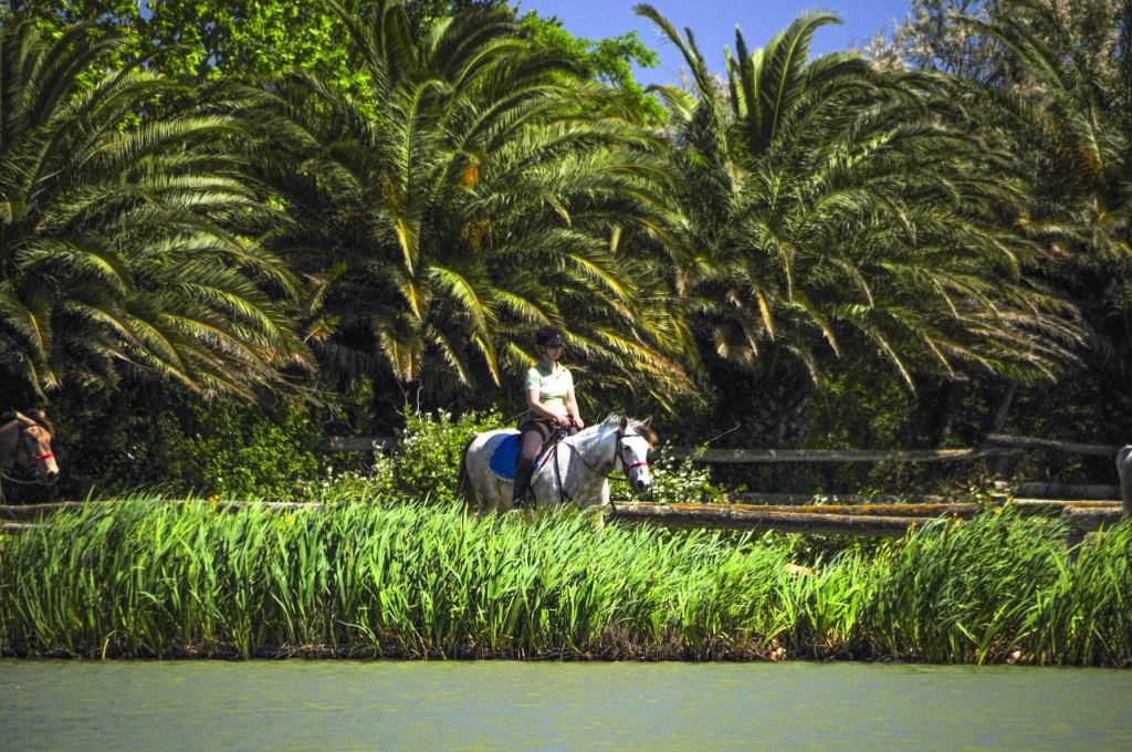 Paardrijden in Spanje
