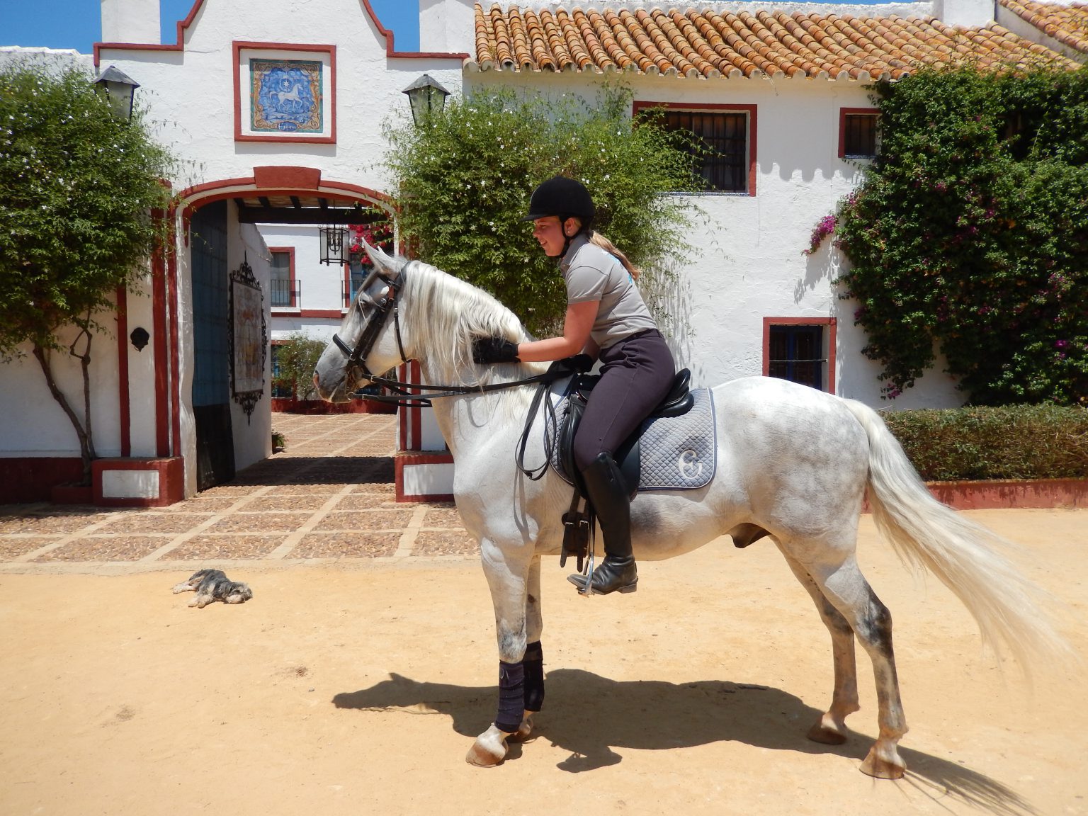 Klassieke Dressuur Lessen Op Andalusi rs Paardrijvakantie Spanje