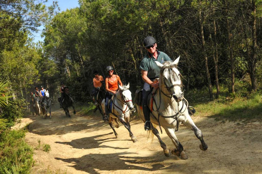 Galopperen op vakantie in Spanje