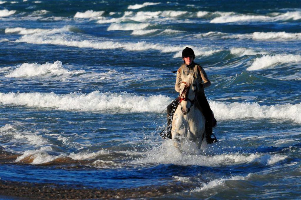 Zwemmen met paard in Spanje