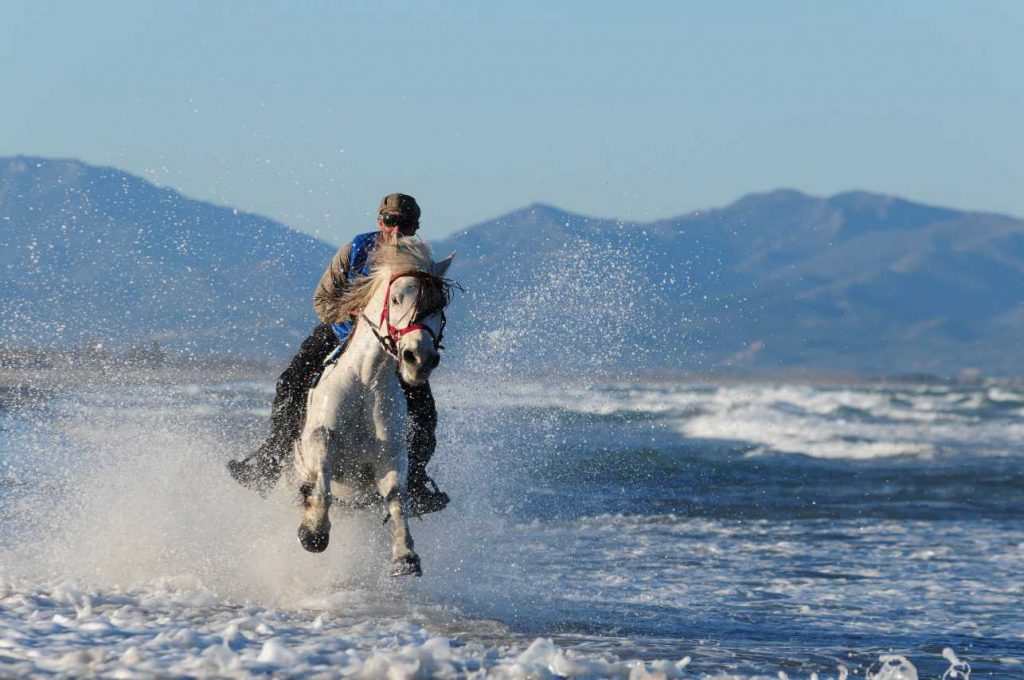 Galopperen op het strand in Spanje