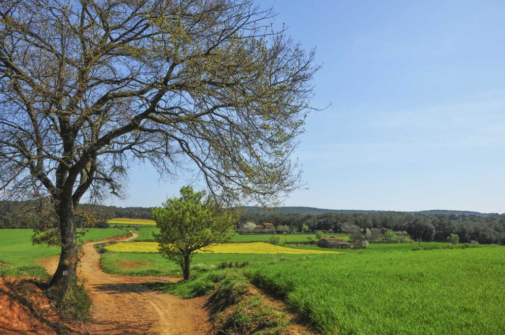 Paardrijvakantie in Spanje