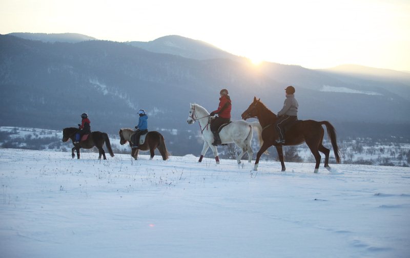 Paardrijden in de sneeuw