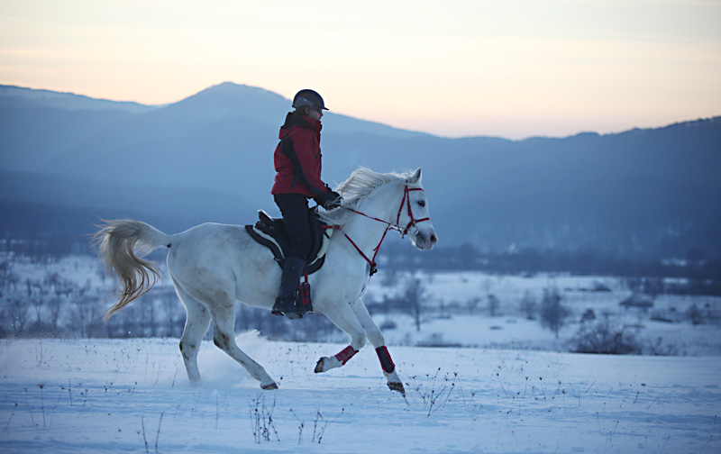 Paardrijvakantie in de sneeuw