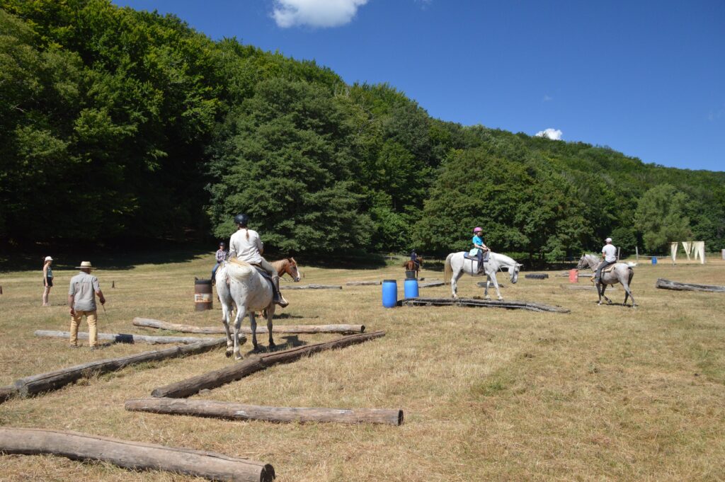 Obstakelparcours tijdens een westerntraining in Italië