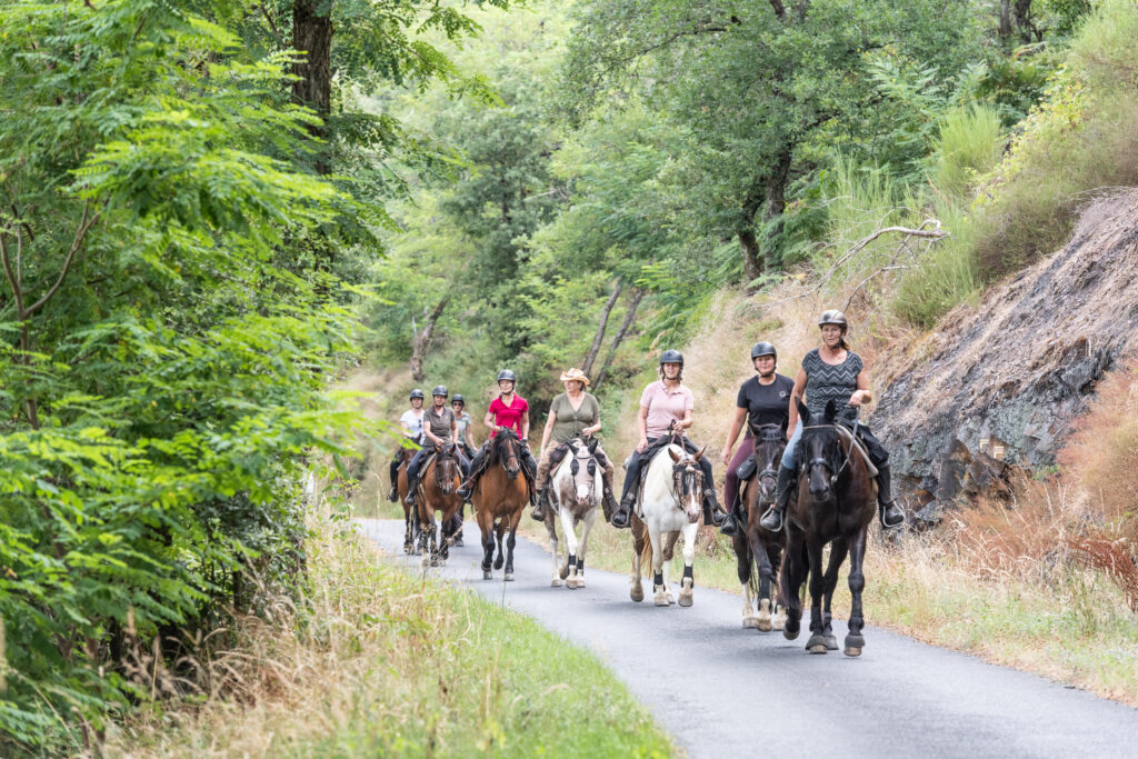 Groep ruiters en paarden rijden door de bossen tijdens een ruitervakantie in Frankrijk