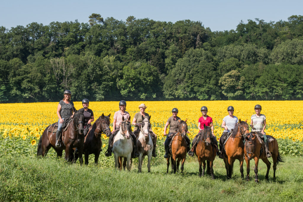 Groep ruiters en paarden in een veld met gele bloemen op de achtergrond