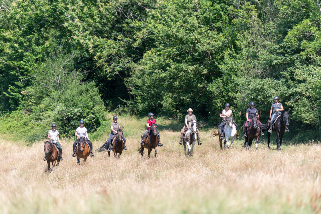 Groep ruiters en paarden in een veld in de bossen tijdens een ruitervakantie in Frankrijk