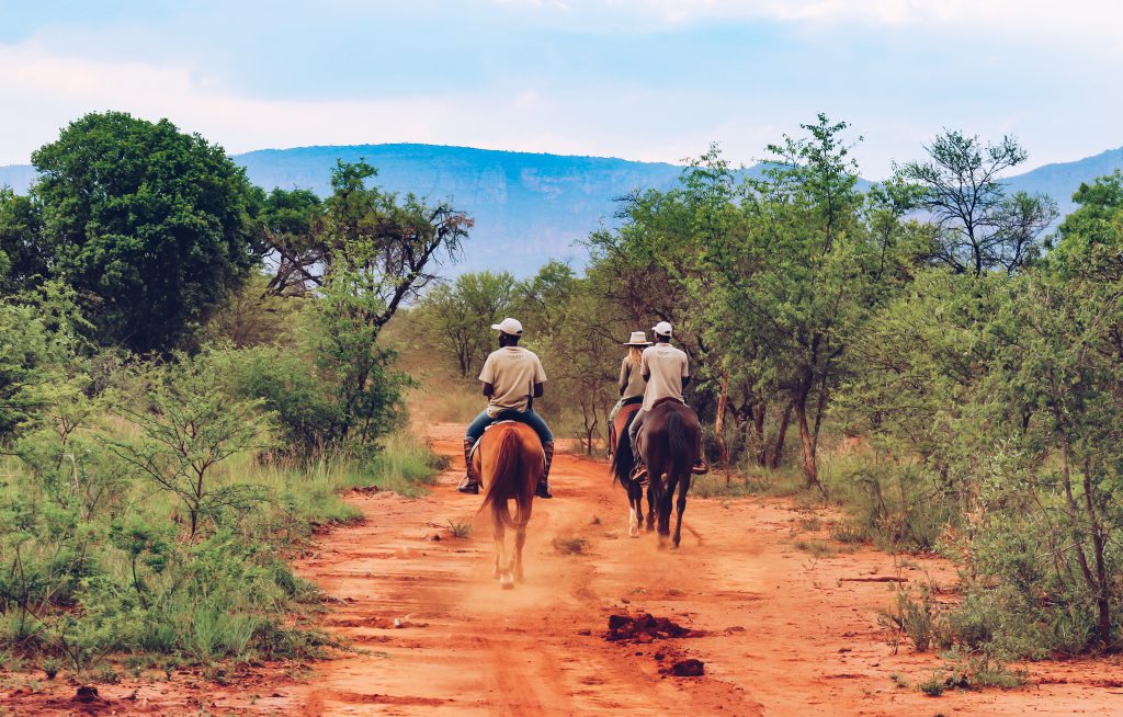 Safari te paard in Zuid-Afrika