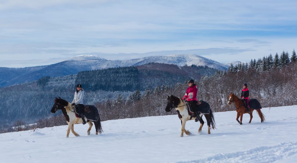 Paardrijden in de sneeuw op vakantie in Bosnië