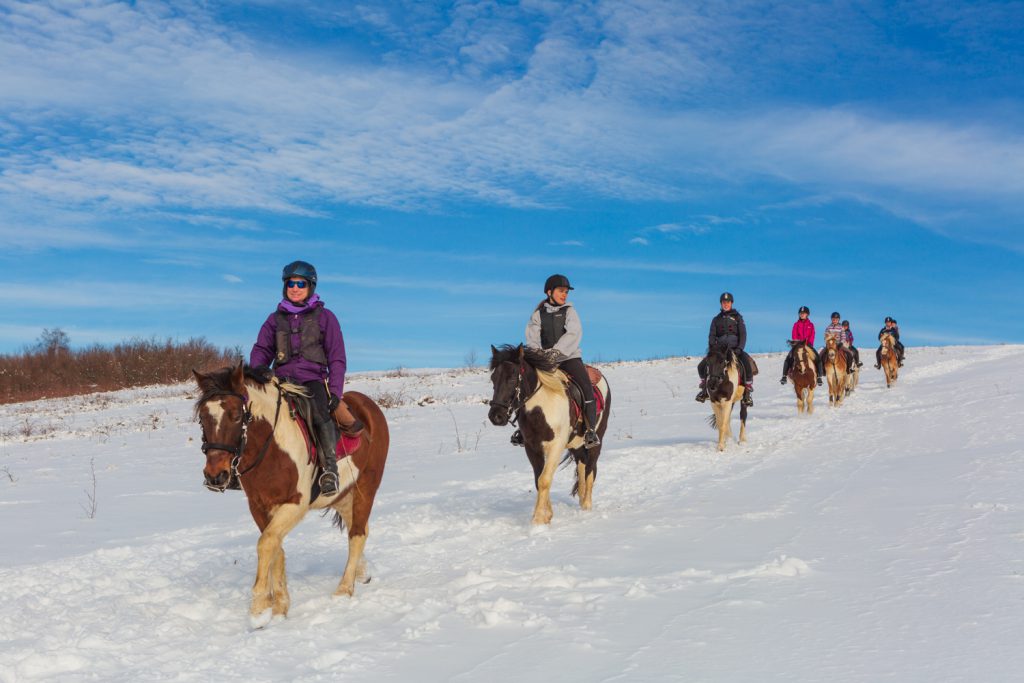 Paardrijden in de sneeuw op vakantie in Bosnië