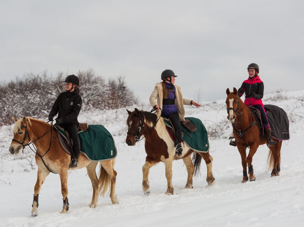 Groep ruiters paardrijden in de sneeuw in Bosnië