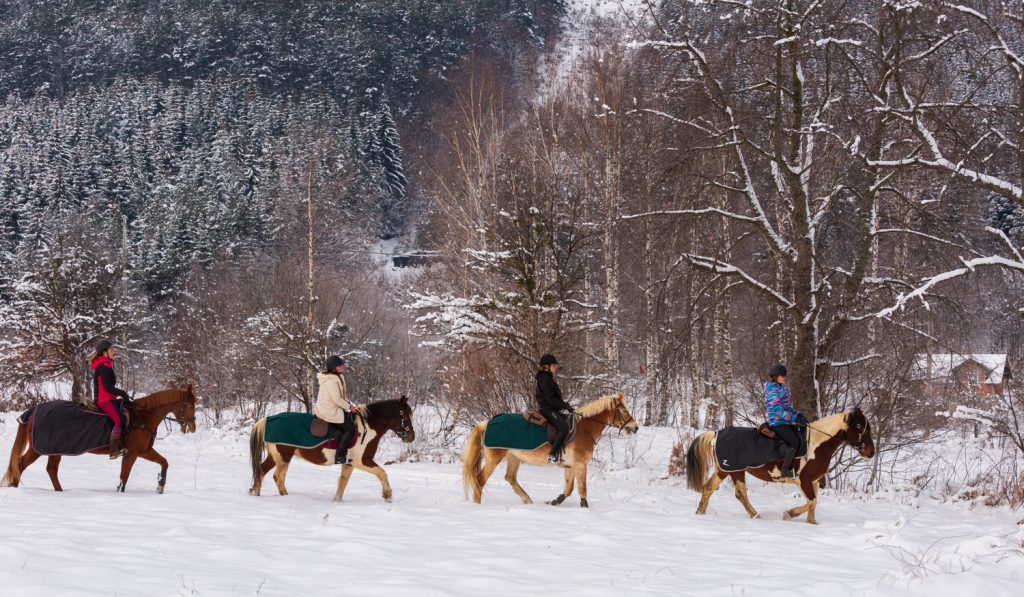 Groep ruiters in de sneeuw in Bosnië