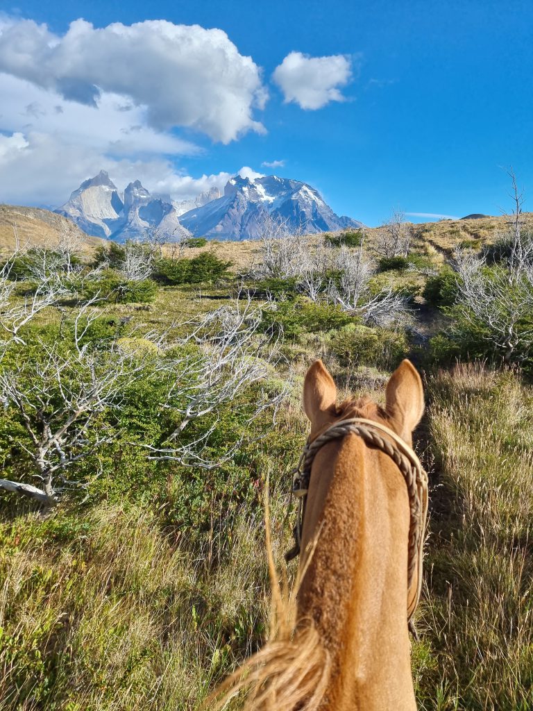 Uitzicht vanaf een paard op de bergen van Patagonië