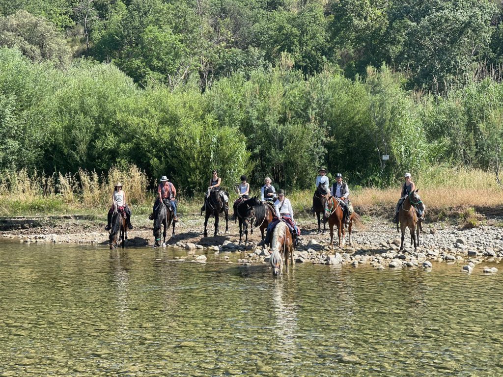 Ruiters en paarden bij een rivier tijdens een paardrijvakantie