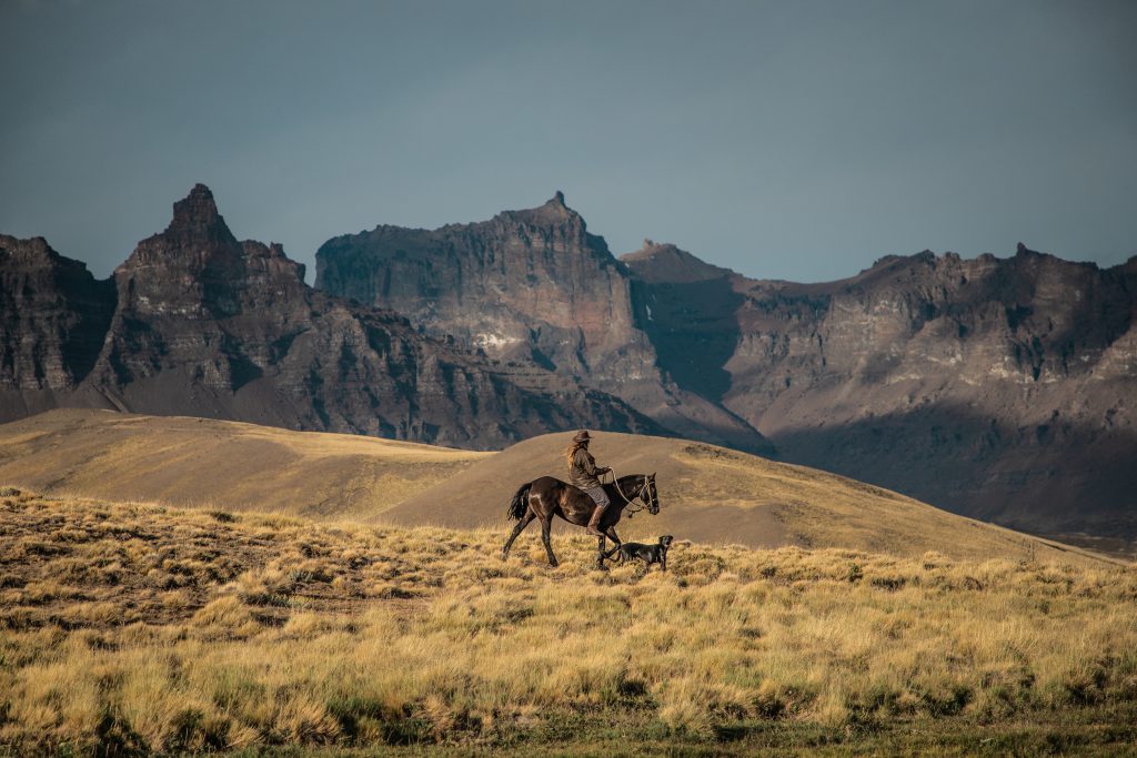 Ruiter met paard en hond in Patagonië, Chili