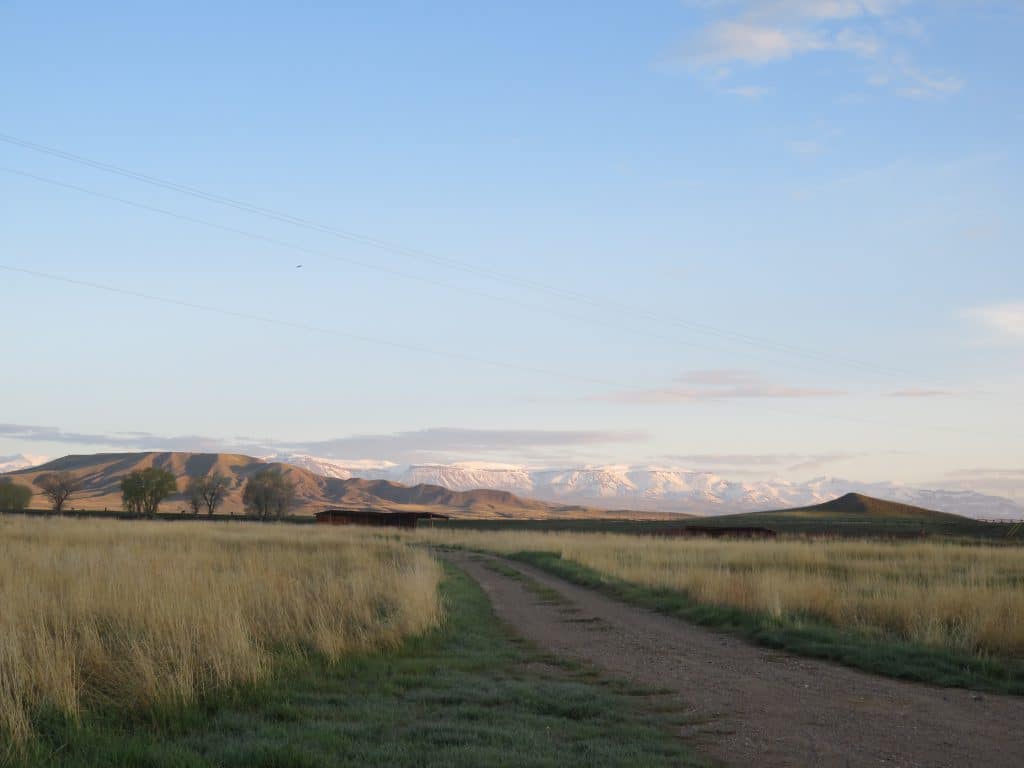 Uitzicht op besneeuwde bergen in Wyoming