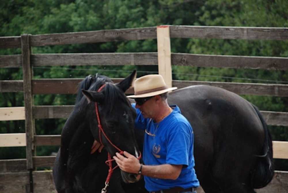 Man leert hoe je een jong paard traint