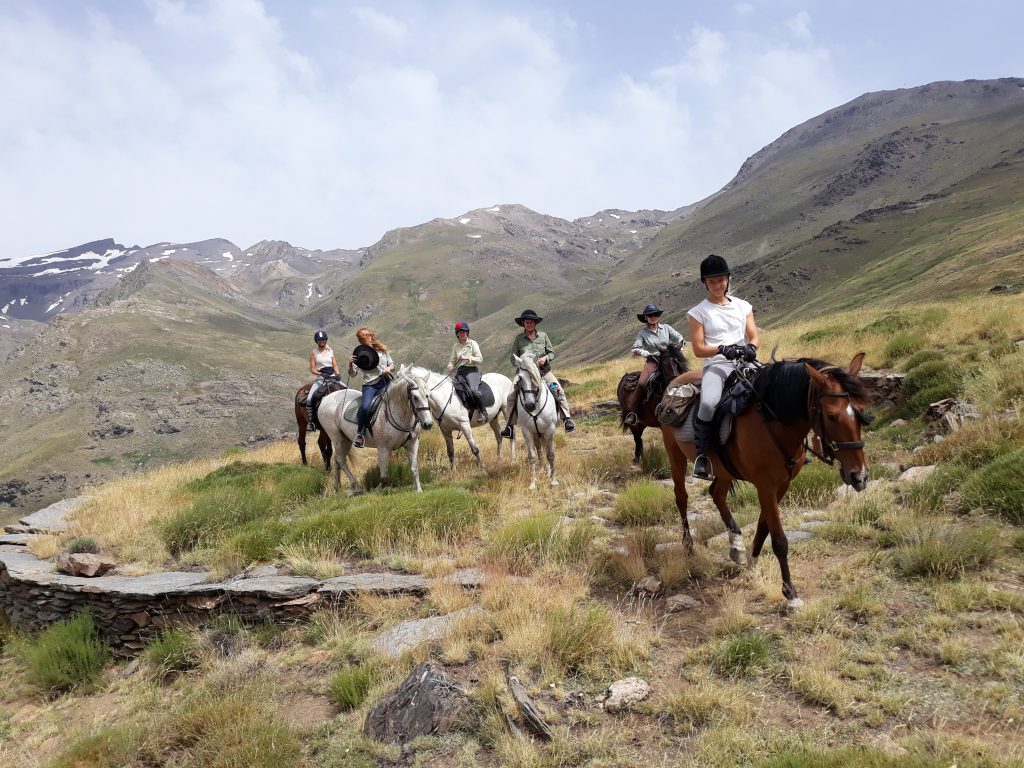 Groep ruiters en paarden tijdens een buitenrit door de bergen van Spanje