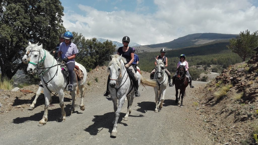 Groep ruiters en paarden tijdens trektocht in Spanje