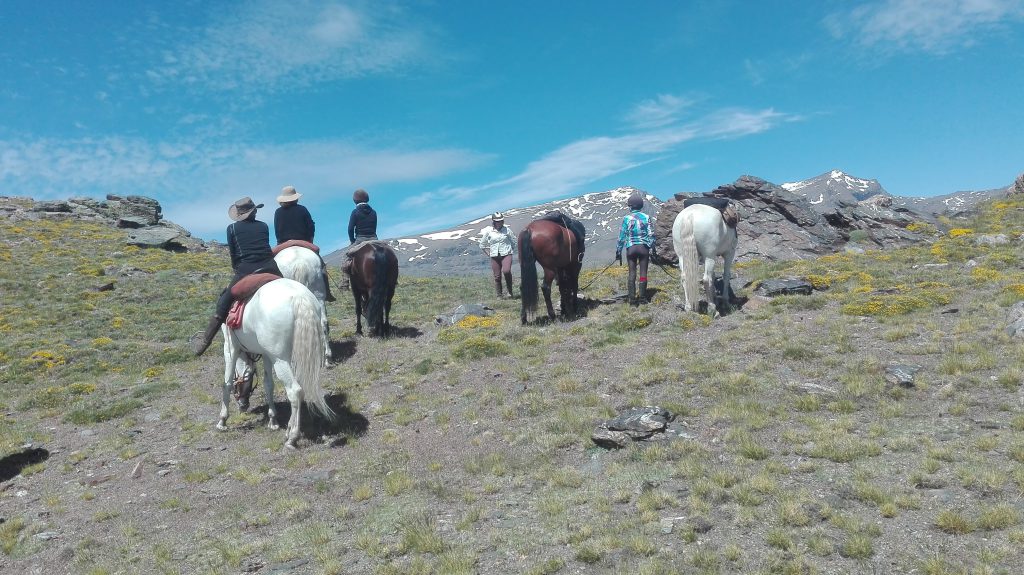 Groep ruiters en paarden kijkt uit over besneeuwde bergen tijdens paardrijvakantie in Spanje.