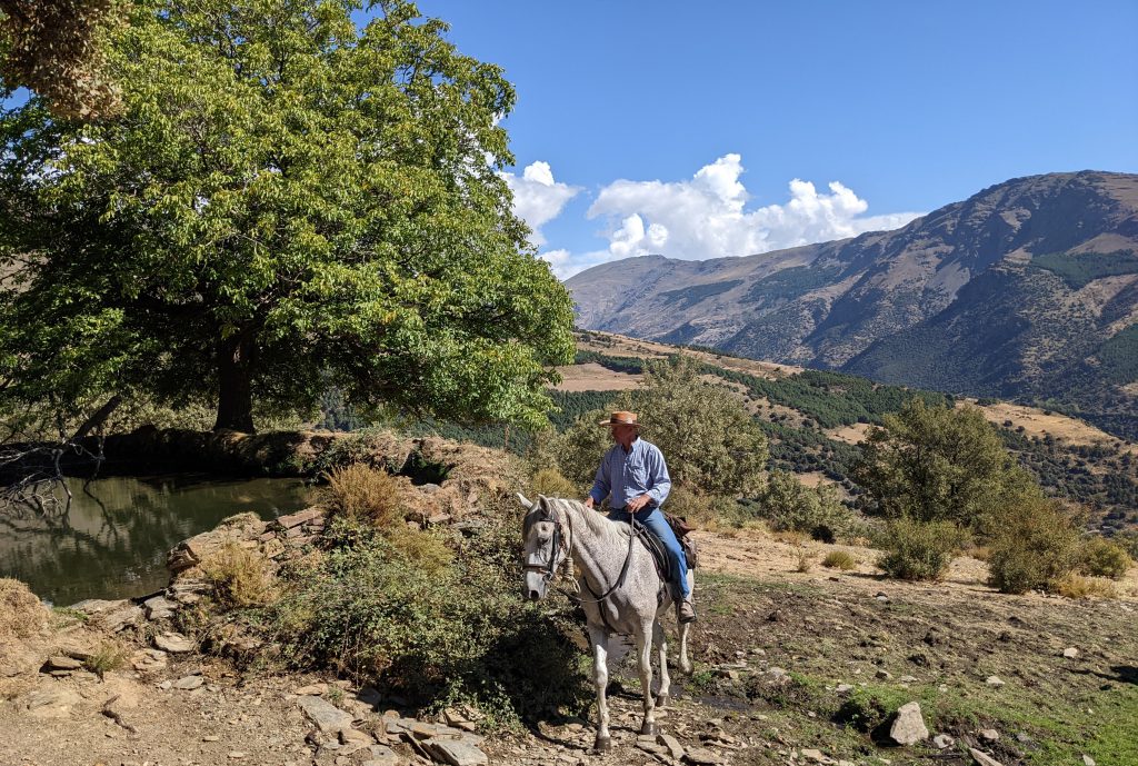 Ruiter en paard rijden door de bergen tijdens paardrijvakantie in Spanje