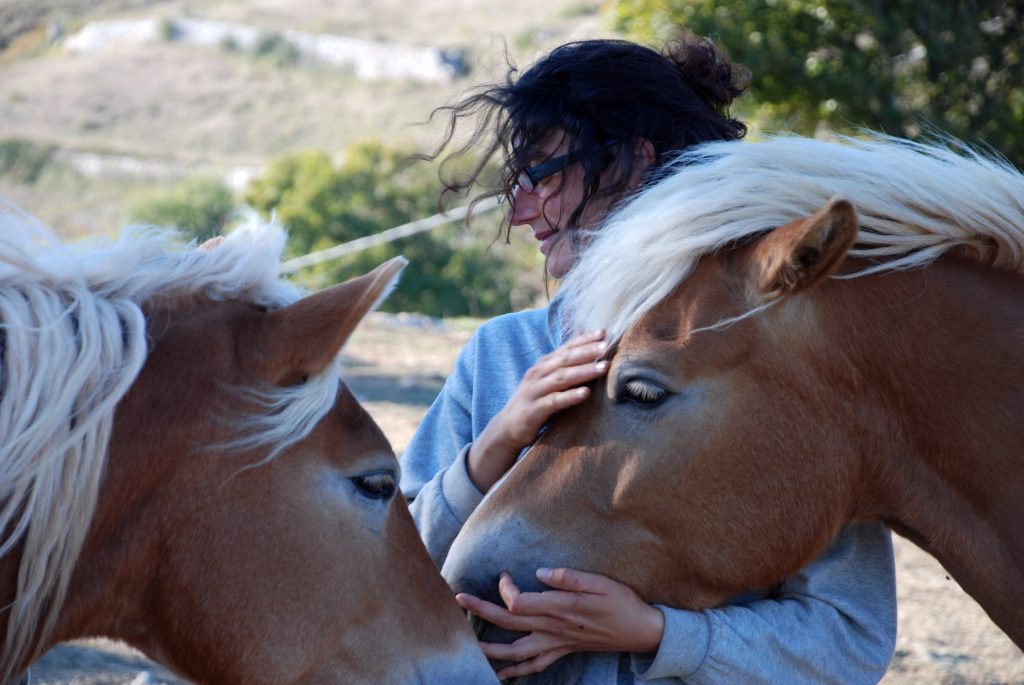 Vrouw knuffelt met twee haflinger paarden