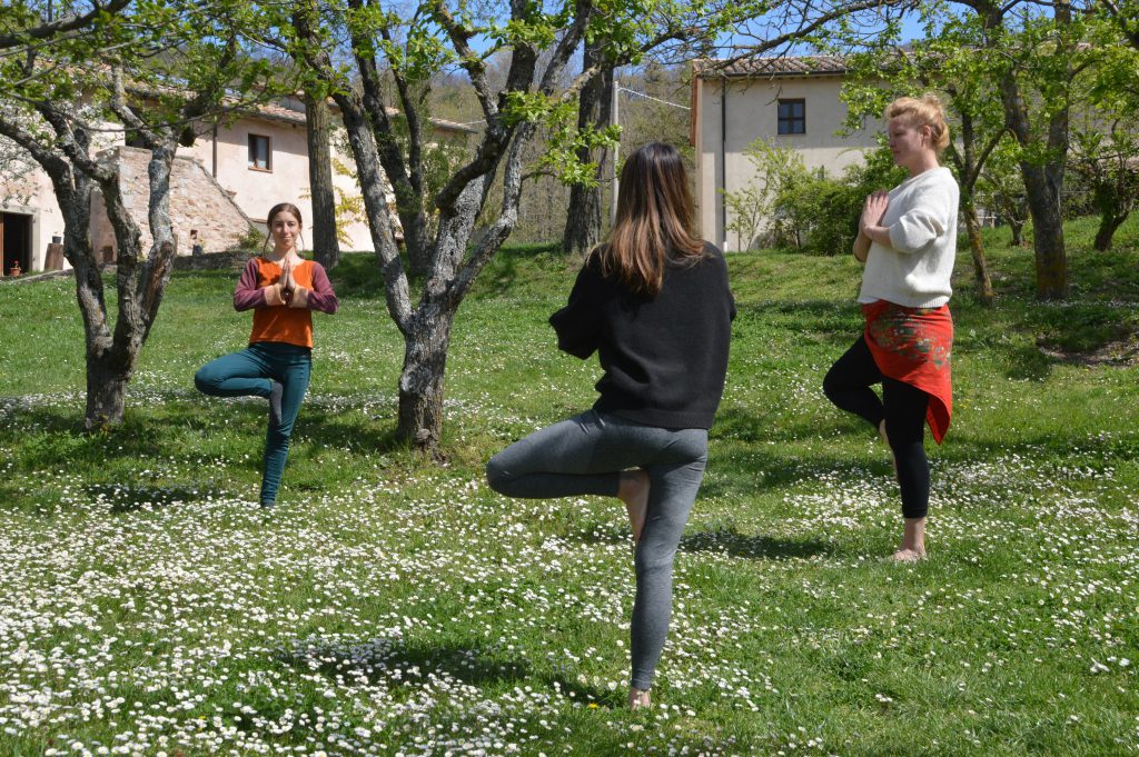Groep vrouwen doet yoga in een tuin tussen de bloemen.