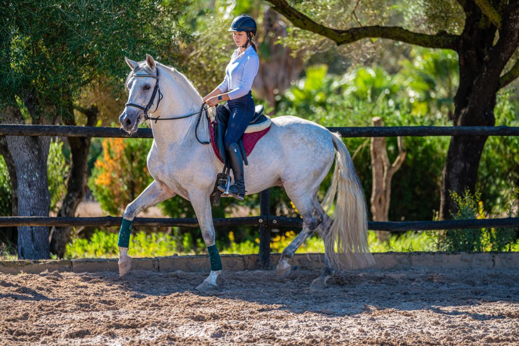 Ruiter en paard tijdens een klassieke dressuurles op Mallorca