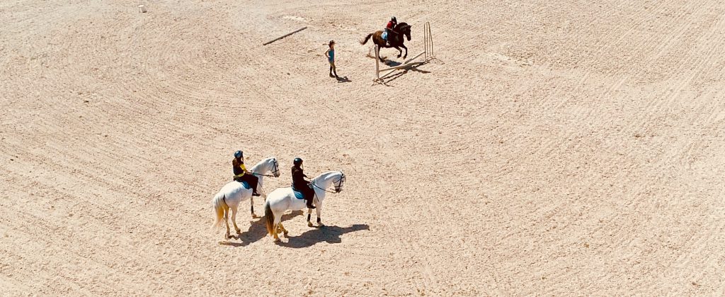 Ruiter en paard springen over een hindernis tijdens een springles terwijl twee andere ruiters en paarden toekijken
