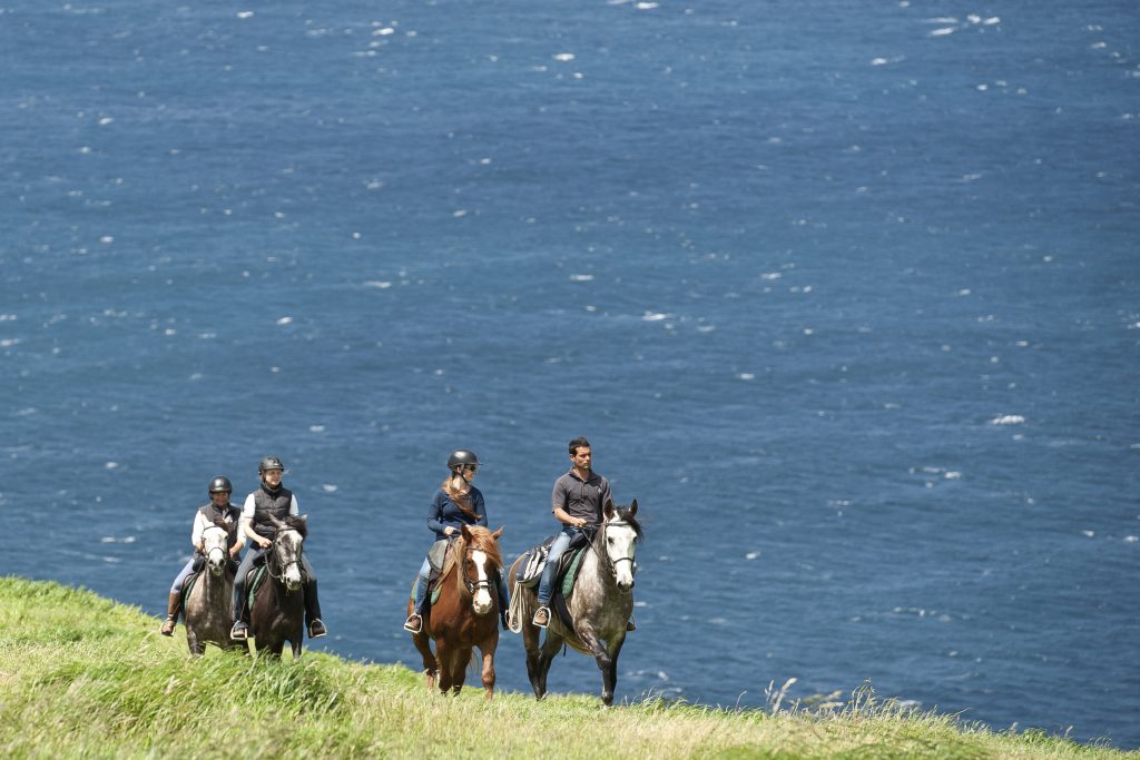 Groep ruiters en paarden rijden in een veld met de zee op de achtergrond op de Azoren