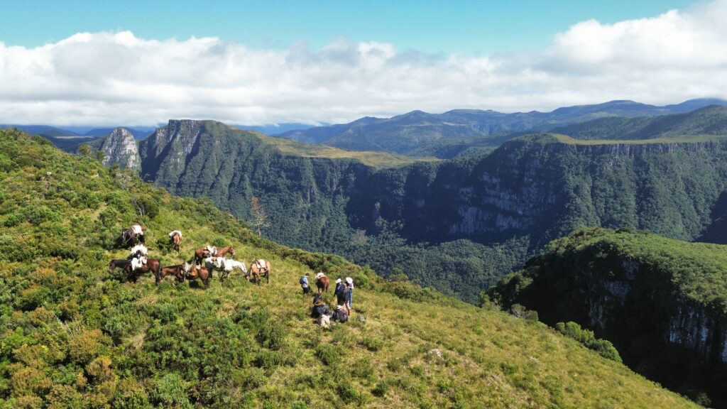 Groep ruiters en paarden neemt even pauze tijdens een trektocht in Brazilië
