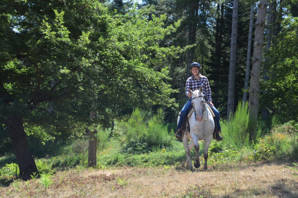 Ruiter en paard in de bossen van Italië