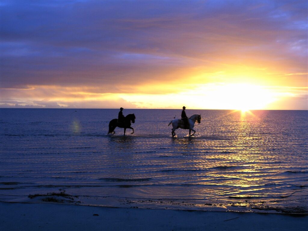 Twee ruiters en paarden in de zee bij zonsopgang tijdens een strandrit in Brazilië
