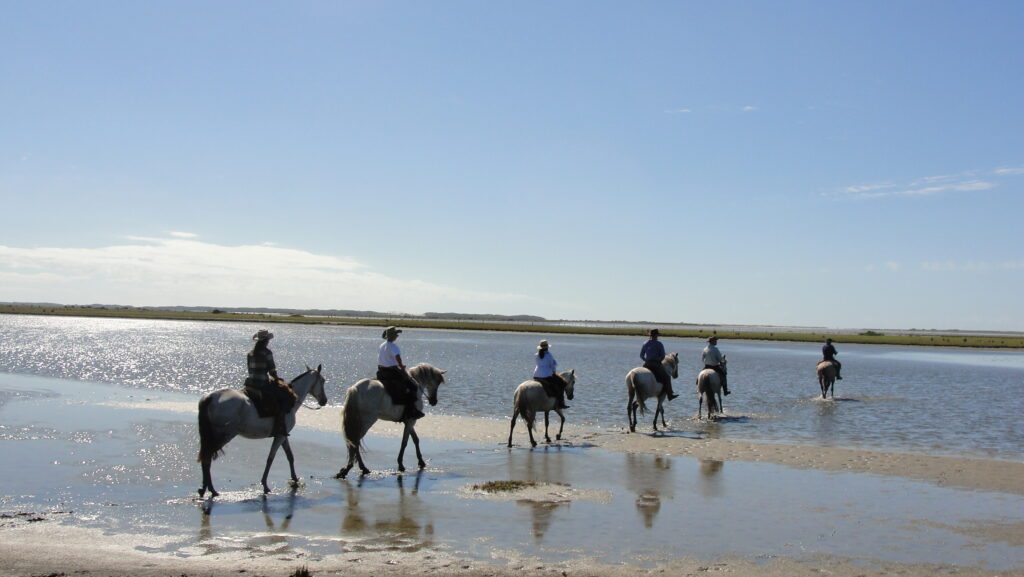 Groep ruiters en paarden in de zee tijdens een strandrit in Brazilië