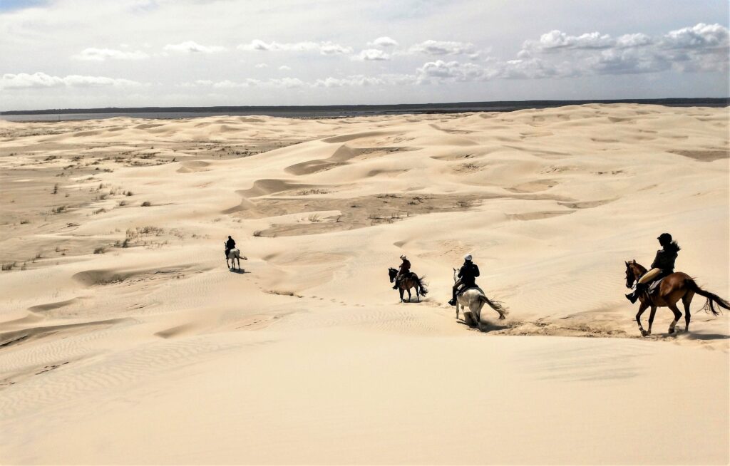 Ruiters en paarden in de zandduinen in Brazilië